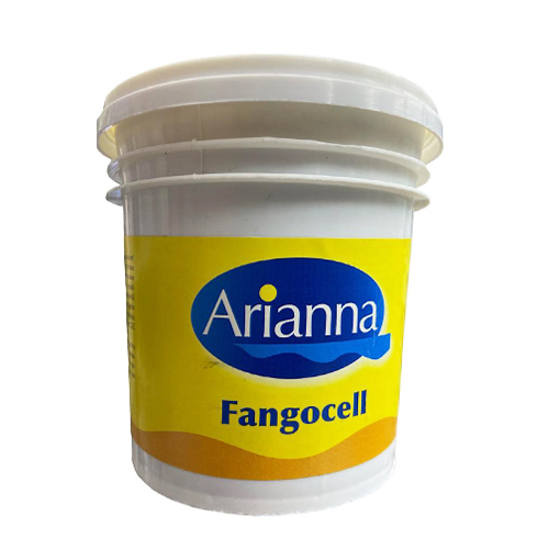 FANGOCELL - ALDO FORTE